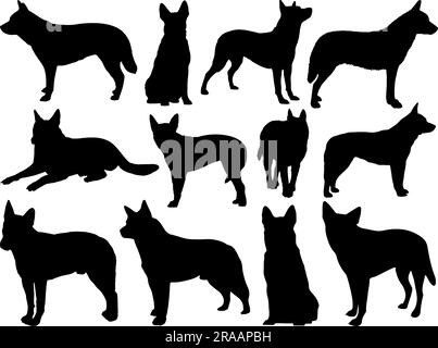 Set of Australian Cattle Dog Silhouette Stock Vector