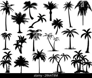 Palm tree silhouette. 2 palm trees isolated on white background. Vector ...