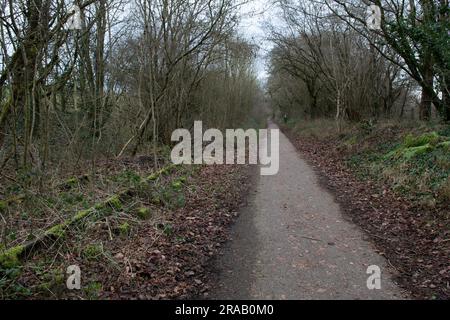 The Colliers Way between Radstock and Frome, at Mells, Somerset. Stock Photo