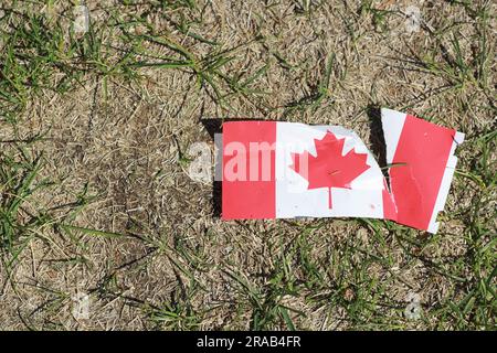 Post Canada Day flag ripped and trampled. Stock Photo