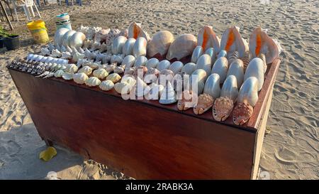 Table full of shells for sale on the sandy on Kuta beach Bali Stock Photo