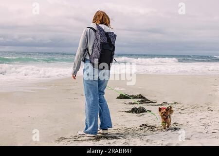 Woman walking with a cute yorkshire terrier dog on the beach near the ocean Stock Photo