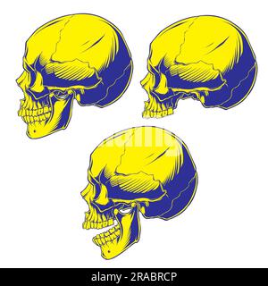 skull set facing side with a blue line with a yellow Stock Vector