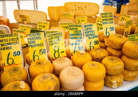 different types of cheeses for sale in Holland Stock Photo