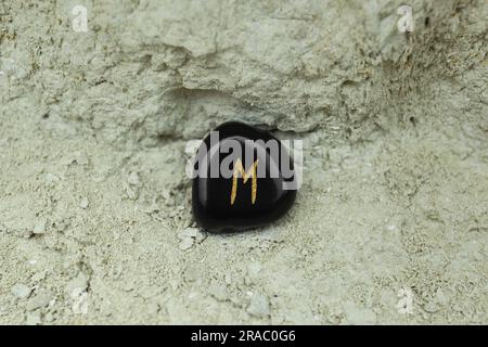 Black rune Ehwaz on stone outdoors, closeup Stock Photo