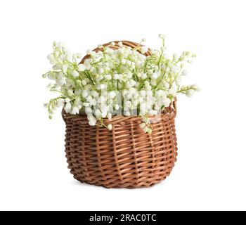Wicker basket with beautiful lily of the valley flowers on blurred ...