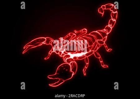 glowing scorpion isolated on dark background. Stock Photo