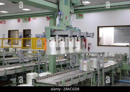 Cairo. 26th June, 2023. This photo taken on June 26, 2023 shows a packaging workshop of Jushi Egypt in Suez, Egypt. TO GO WITH 'Feature: From technician to executive: a young Egyptian's path to success under BRI cooperation' Credit: Wang Dongzhen/Xinhua/Alamy Live News Stock Photo