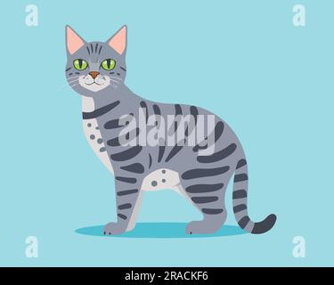 A set of Cute Flat cat vector illustration Stock Vector