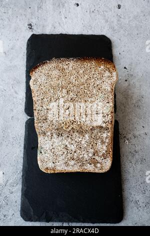 piece of rye bread with mold, Fungus on bread, mold on bread covered with fungus, a piece of rye bread with white and black mold Stock Photo