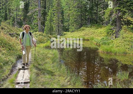Walking in Rauris primeval alpine forest Stock Photo