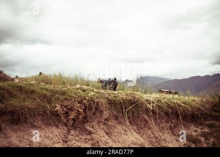 man works in field surrounded by mountains in peru Stock Photo