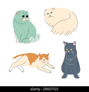Cat breeds Set 3 . Flat shape and pencil line drawing design . Vector . Stock Vector