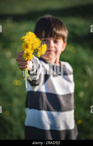 Boy holding bunch of yellow dandelion flowers out in front of him. Stock Photo