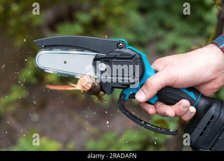 Hand holds light chain saw with battery to trim broken branch of an tree, in sunny day Stock Photo