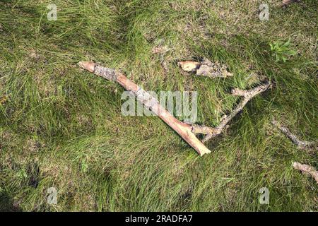 Wooden  sticks on the grass seen from above Stock Photo