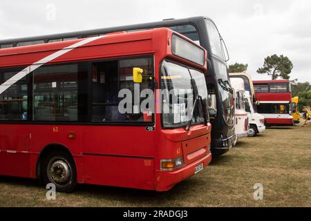 Bournemouth Bus Rally 2023, mostly vintage buses with a few models and modern ones. Based at Kings Park Stock Photo