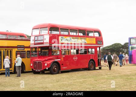 Bournemouth Bus Rally 2023, mostly vintage buses with a few models and modern ones. Based at Kings Park Stock Photo