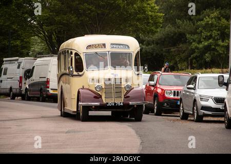 Bournemouth Bus Rally 2023, mostly vintage buses with a few models and modern ones. Based at Kings Park Stock Photo