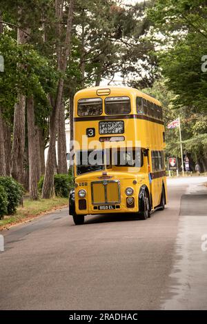 Bournemouth Bus Rally 2023, mostly vintage buses with a few models and modern ones. Based at Kings Park Stock Photo