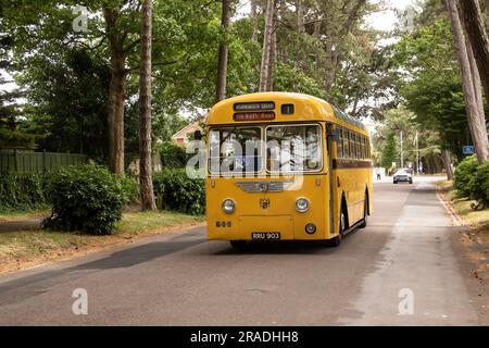 Bournemouth Bus Rally 2023, mostly vintage buses with a few models and modern ones. Based at Kings Park Stock Photo