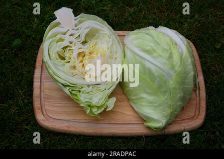 White cabbage sliced on a board Stock Photo