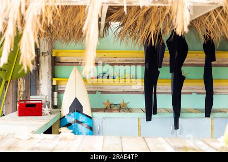 Counter of sunny surf hire shop on beach with radio, surfboard and hanging wetsuits Stock Photo