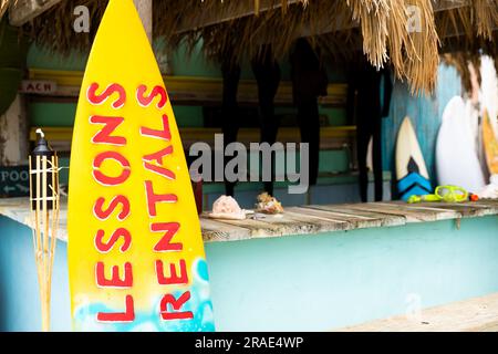 Counter of surf hire shop on beach with lessons and rentals sign on surfboard, copy space Stock Photo