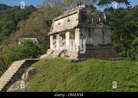 Temple of the Count, North Group, Palenque, Chiapas, Mexico, Templo del Conde Stock Photo