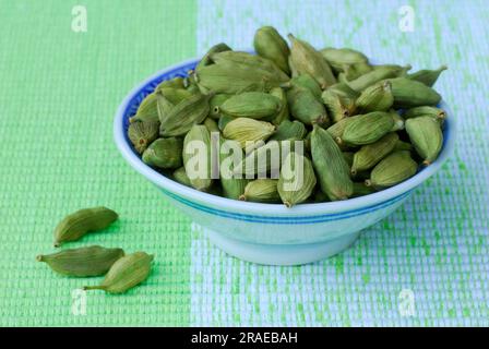 Cardamom (Elettaria cardamomum) in shell, seed capsules, seed capsule Stock Photo