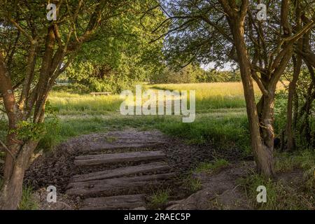 Brent, London, England, England, Local Area Photography Stock Photo