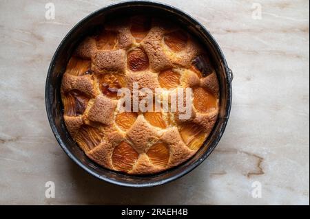 Apricot cake in a round cake pan isolated on light background Stock Photo