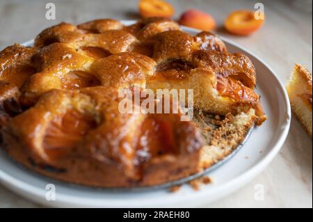 Sponge cake with apricots fruits Stock Photo