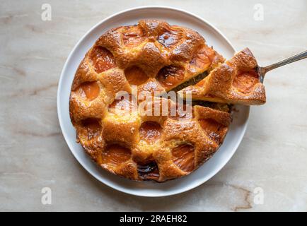 Whole apricot cake with a piece on a cake server isolated on light background Stock Photo