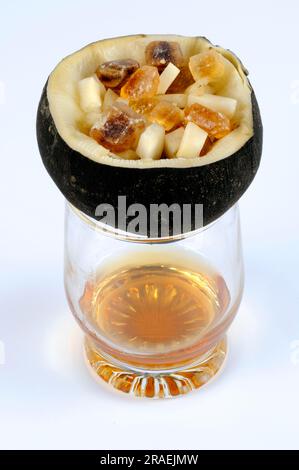 Black radish, root, and brown candy (Raphanus sativus), sugar, preparation of cough syrup Stock Photo