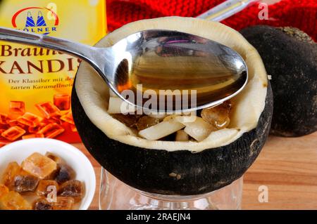 Black radish, root, and brown candy (Raphanus sativus), sugar, preparation of cough syrup Stock Photo