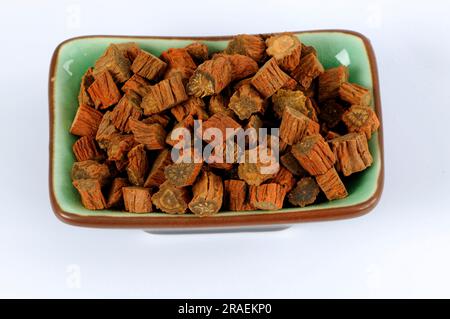 Red-rooted sage root (Salviae miltiorrhizae Radix), Dan Shen, cut out, object Stock Photo