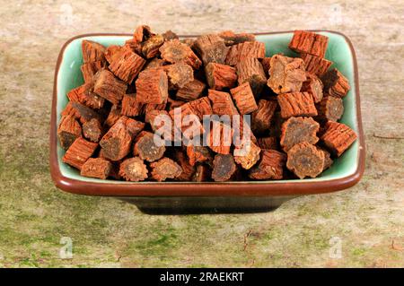 Red-rooted sage root (Salviae miltiorrhizae Radix), Dan Shen Stock Photo