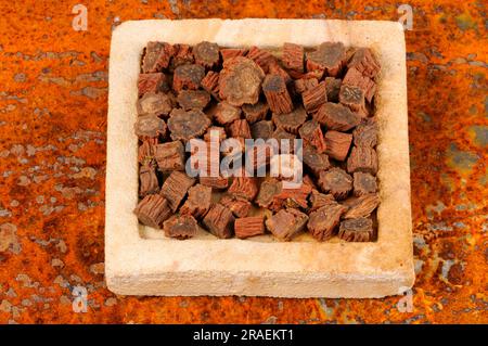 Red-rooted sage root (Salviae miltiorrhizae Radix), Dan Shen Stock Photo