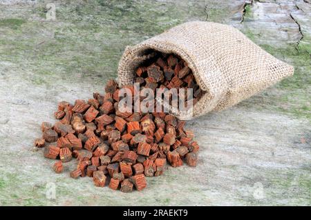 Red-rooted sage root (Salviae miltiorrhizae Radix), Dan Shen Stock Photo