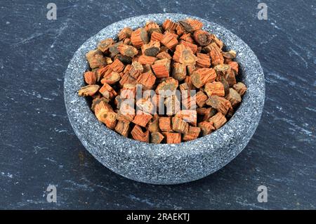 Red-rooted sage root (Salviae miltiorrhizae Radix), Dan Shen Stock Photo