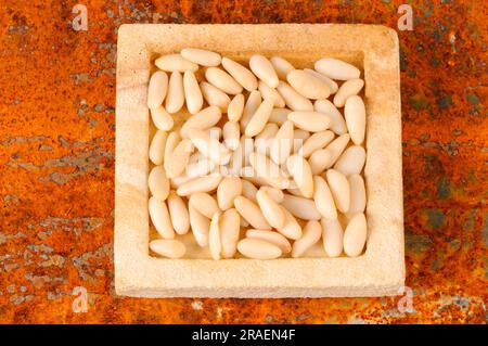 Stone Pines nuts (Pinus pinea), pine tree Stock Photo