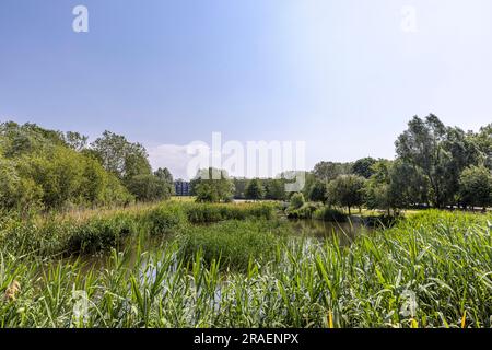 Brent, London, England, England, Local Area Photography Stock Photo