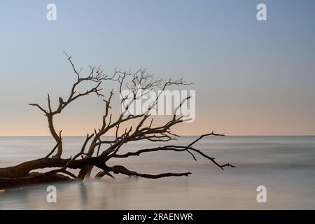 meditative seascape at Boneyard Beach on Bull Island in South Carolina at sunrise Stock Photo