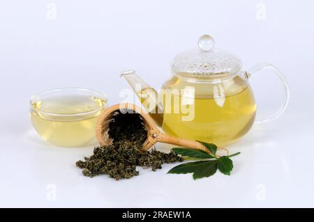 Cup and pot of Jiao-gu-lan tea, Jiaogulan, female ginseng, immortality ...