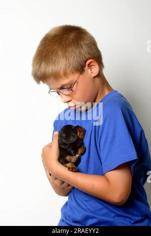 Boy with Cavalier King Charles Spaniel, puppy, black-brown, 17 days Stock Photo