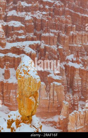 Aufnahme von schneebedeckten Felsnadeln im Bryce Canyon in Nahaufnahme im Winter fotografiert in Utah im Januar 2013 Stock Photo