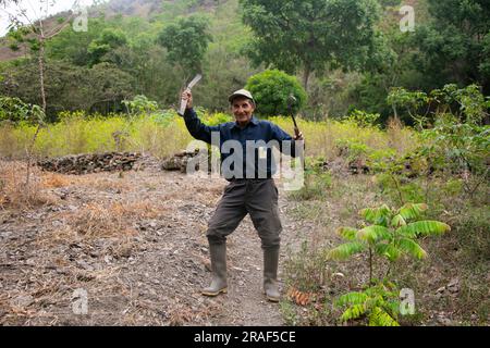 Santa Rosa, Peru; 1st October 2022: A farmer in his plantation in the ...