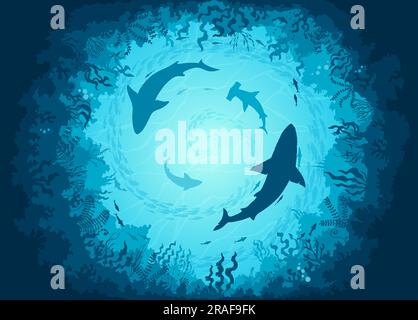 Underwater sea landscape with sharks and fish shoals bottom view. Vector background with vortex of ocean predator silhouettes creates mesmerizing sight, showcasing beauty and diversity of marine life Stock Vector