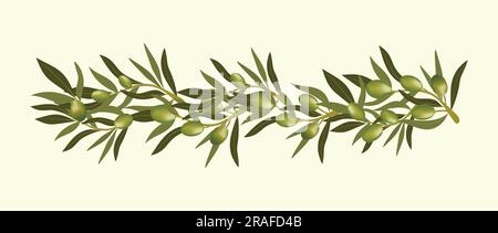 Olive branch weaving.Background with olive branch and green olives. Vegetarian food and healthy lifestyle Stock Vector